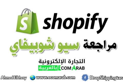 shopify-seo-review1