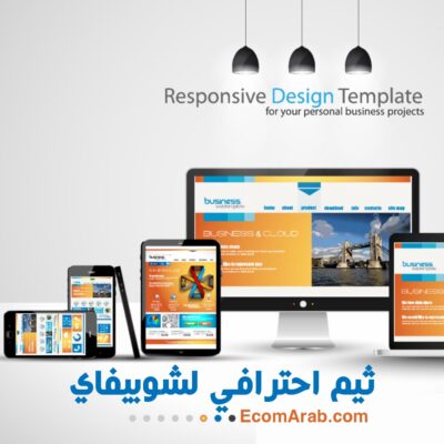Shopify Theme product